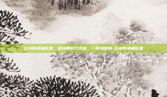 公孙的准确位置，足内侧取穴详解，一按就酸胀-公孙的准确位置