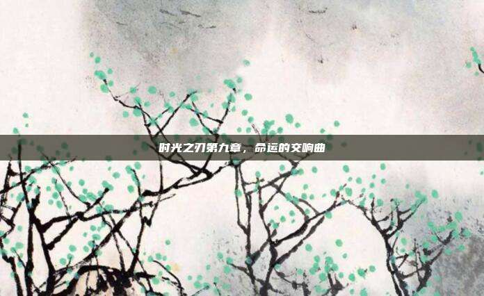 时光之刃第九章,命运的交响曲