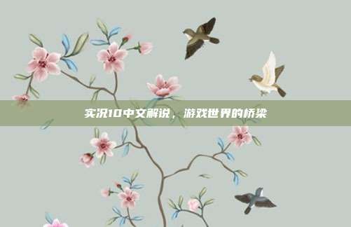 实况10中文解说，游戏世界的桥梁