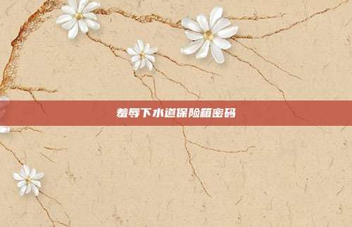 羞辱下水道保险箱密码