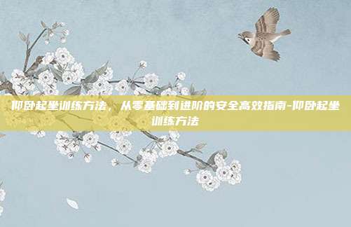 仰卧起坐训练方法,从零基础到进阶的安全高效指南-仰卧起坐训练方法