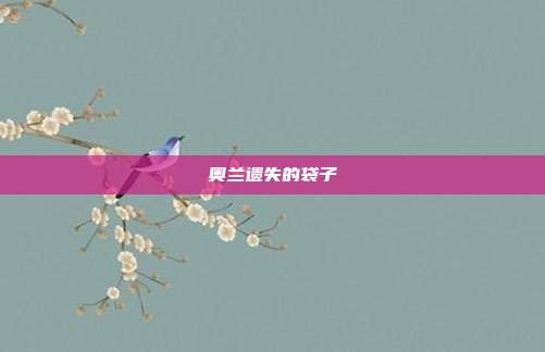 奥兰遗失的袋子