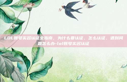 LOL账号实名认证全指南，为什么要认证、怎么认证、遇到问题怎么办-lol账号实名认证