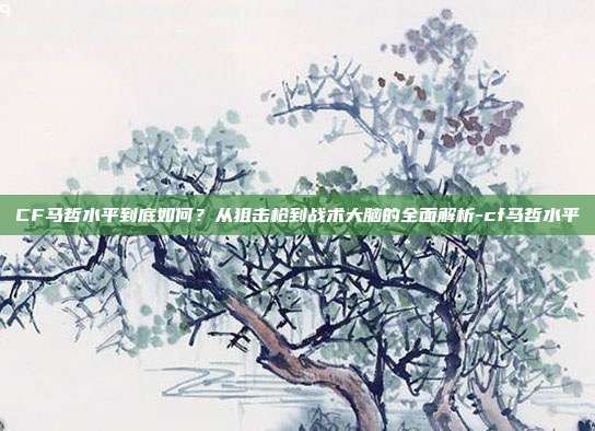 CF马哲水平到底如何?从狙击枪到战术大脑的全面解析-cf马哲水平