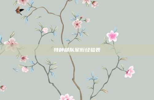 特种部队军衔经验表