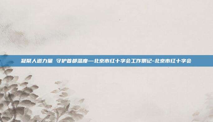 凝聚人道力量 守护首都温度—北京市红十字会工作侧记-北京市红十字会