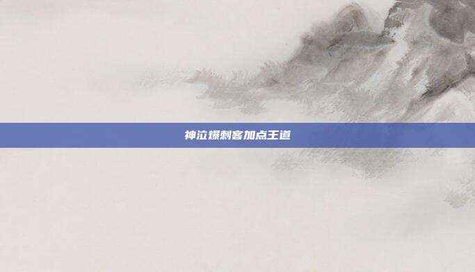 神泣爆刺客加点王道