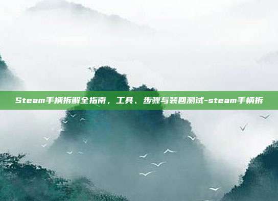 Steam手柄拆解全指南，工具、步骤与装回测试-steam手柄拆