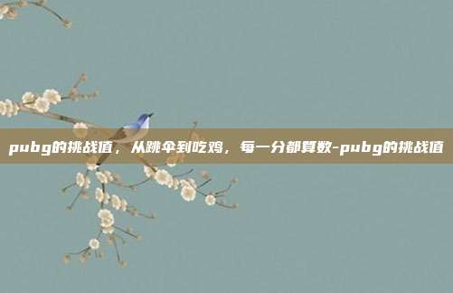 pubg的挑战值,从跳伞到吃鸡,每一分都算数-pubg的挑战值