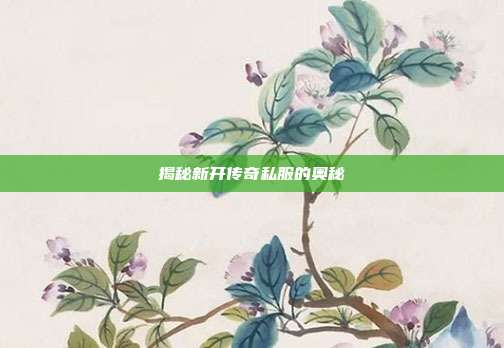 揭秘新开传奇私服的奥秘