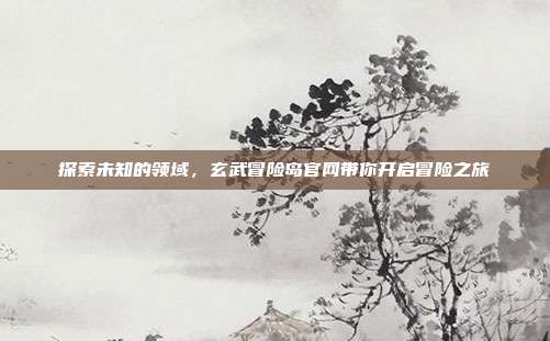 探索未知的领域,玄武冒险岛官网带你开启冒险之旅