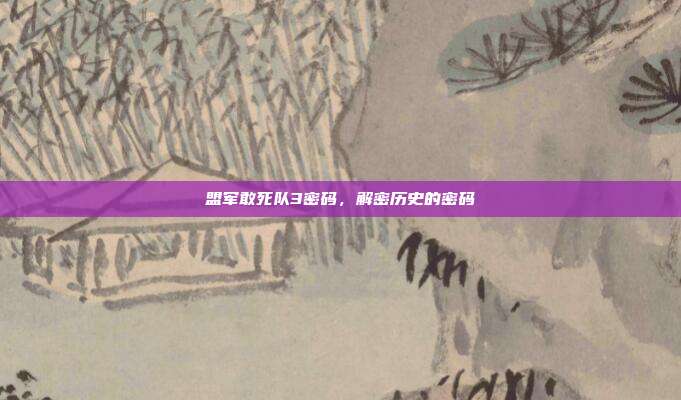 盟军敢死队3密码,解密历史的密码