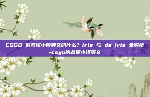 CSGO 的鸢尾小镇英文叫什么?Iris 与 de_iris 全解析-csgo的鸢尾小镇英文