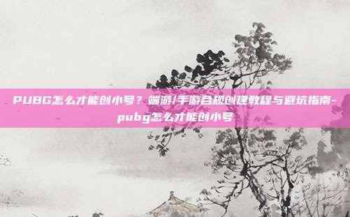 PUBG怎么才能创小号?端游/手游合规创建教程与避坑指南-pubg怎么才能创小号
