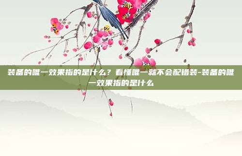 装备的唯一效果指的是什么?看懂唯一就不会配错装-装备的唯一效果指的是什么