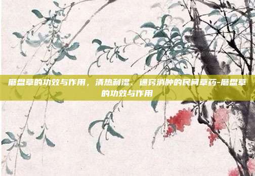 磨盘草的功效与作用,清热利湿、通窍消肿的民间草药-磨盘草的功效与作用