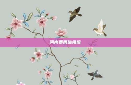 河南暴雨破极值