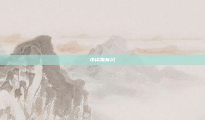 小泽木有风