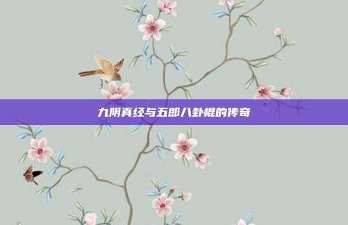 九阴真经与五郎八卦棍的传奇