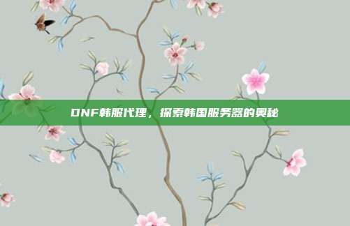 DNF韩服代理，探索韩国服务器的奥秘