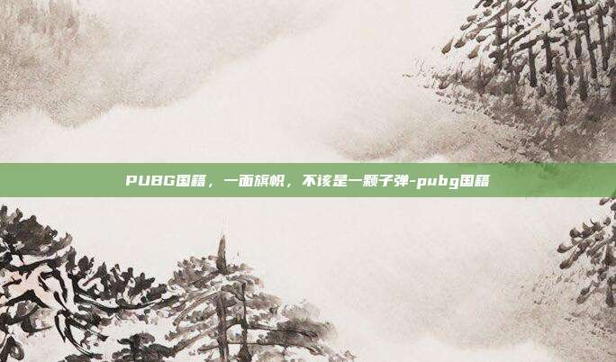 PUBG国籍,一面旗帜,不该是一颗子弹-pubg国籍
