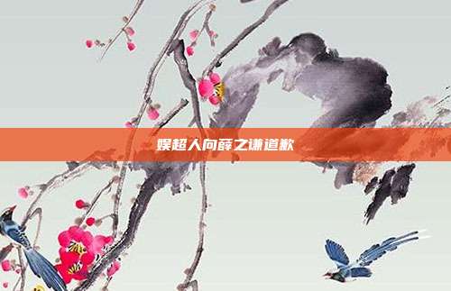 娱超人向薛之谦道歉