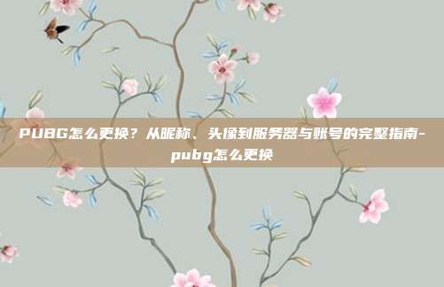PUBG怎么更换?从昵称、头像到服务器与账号的完整指南-pubg怎么更换