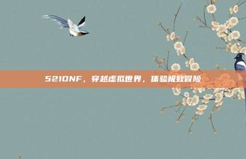521DNF，穿越虚拟世界，体验极致冒险