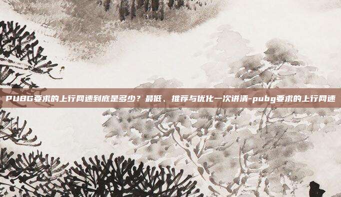 PUBG要求的上行网速到底是多少？最低、推荐与优化一次讲清-pubg要求的上行网速