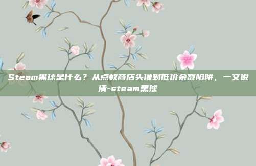Steam黑球是什么?从点数商店头像到低价余额陷阱,一文说清-steam黑球
