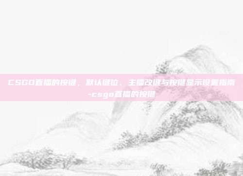 CSGO直播的按键,默认键位、主播改键与按键显示设置指南-csgo直播的按键