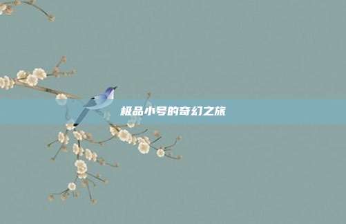 极品小号的奇幻之旅