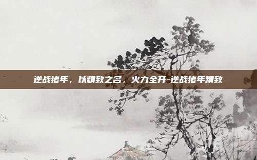 逆战猪年,以精致之名,火力全开-逆战猪年精致