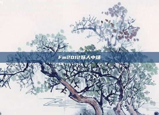 Fm2012妖人中场
