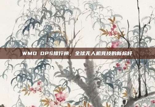 WMO DPS排行榜,全球无人机竞技的新标杆