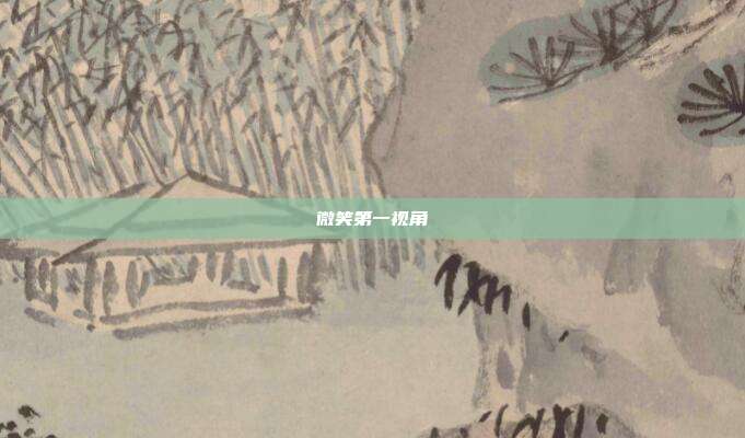 微笑第一视角
