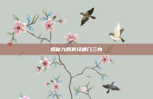 揭秘九阴真经唐门三内