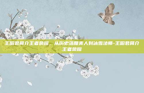 王昭君简介王者荣耀，从历史落雁美人到冰雪法师-王昭君简介王者荣耀