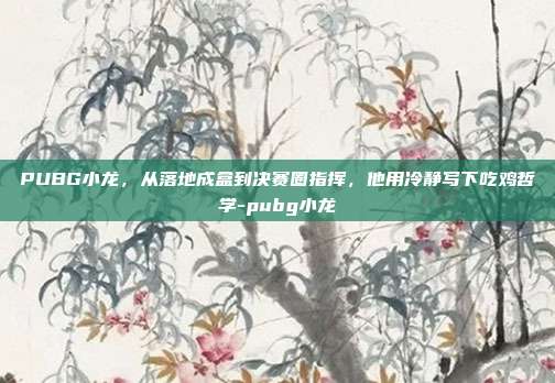 PUBG小龙,从落地成盒到决赛圈指挥,他用冷静写下吃鸡哲学-pubg小龙