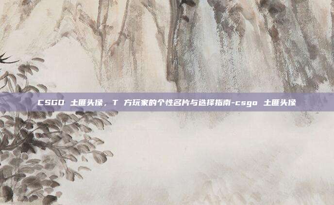 CSGO 土匪头像,T 方玩家的个性名片与选择指南-csgo 土匪头像