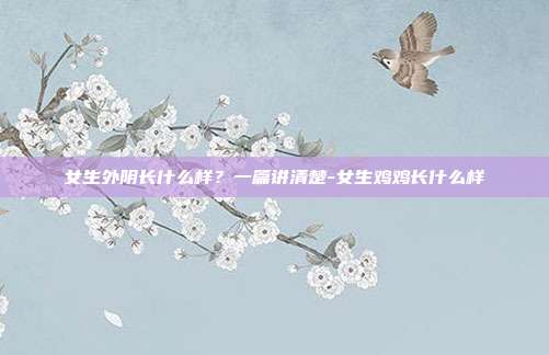 女生外阴长什么样?一篇讲清楚-女生鸡鸡长什么样