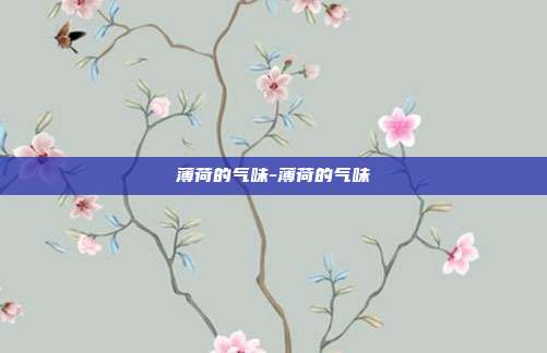 薄荷的气味-薄荷的气味