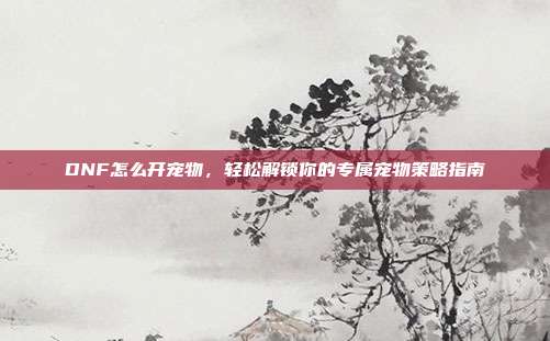 DNF怎么开宠物，轻松解锁你的专属宠物策略指南