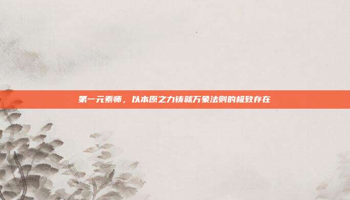 第一元素师，以本原之力铸就万象法则的极致存在