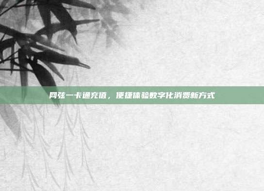网弦一卡通充值，便捷体验数字化消费新方式