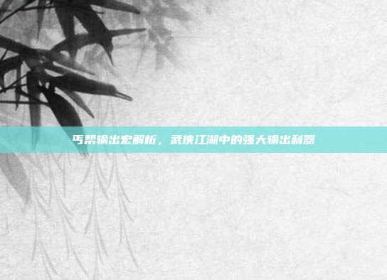 丐帮输出宏解析，武侠江湖中的强大输出利器