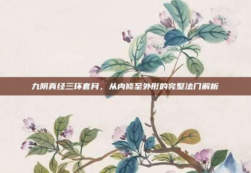 九阴真经三环套月,从内修至外形的完整法门解析