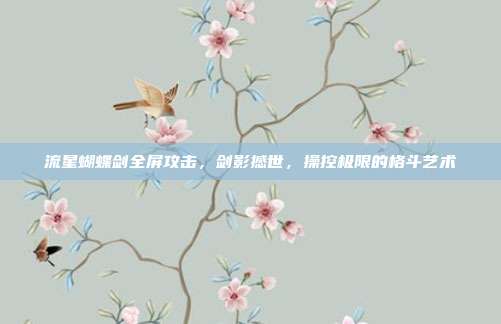 流星蝴蝶剑全屏攻击,剑影撼世,操控极限的格斗艺术