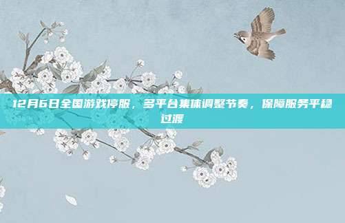 12月6日全国游戏停服,多平台集体调整节奏,保障服务平稳过渡