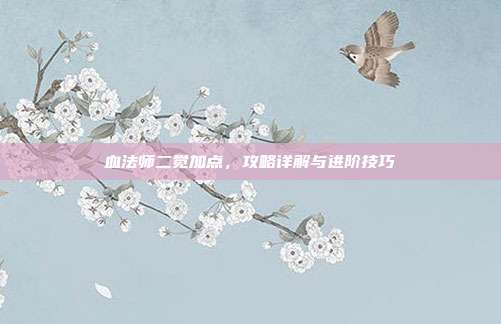 血法师二觉加点,攻略详解与进阶技巧